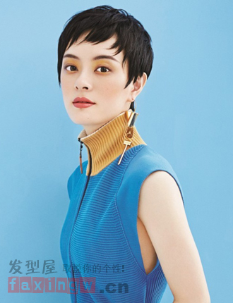 魯豫新髮型變幹練女強人 女星帥氣超短髮盤點