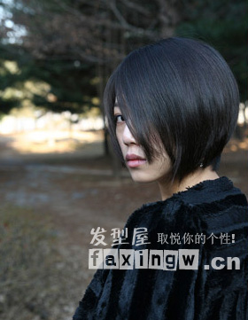 2009最新韓式髮型流行四款